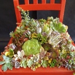 Vechiul scaun transformă într-un pat de flori 50 de idei pentru flori de gradina si plante de interior