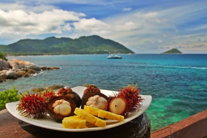 Ar trebui să mă odihnesc pe Koh Samui în ianuarie