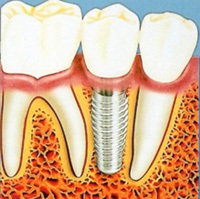 Dental Clinic №19 - bun venit