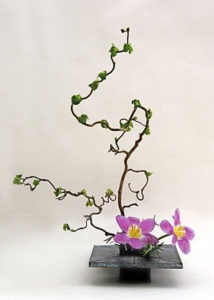 Esența lui ikebana