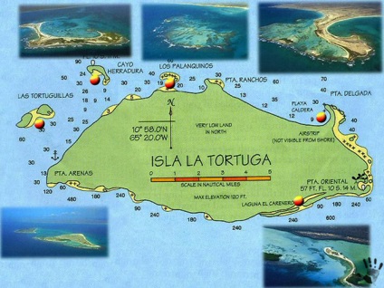 Tortuga (tort) Caraibe insula libertății, hasta pronto