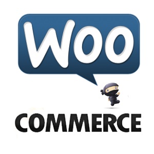 Eliminarea a 50.000 de produse în 3 minute în woocommerce