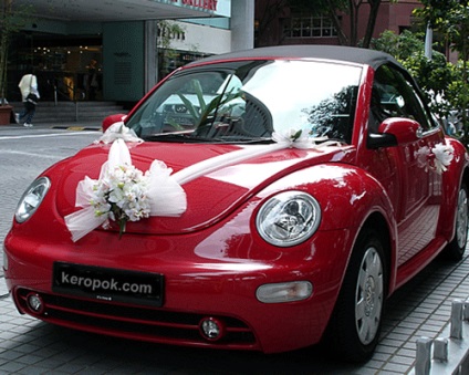 Decorarea mașinilor de nuntă de către mâinile proprii - 13 februarie 2011 - magazin online de pălării și pălării de nuntă