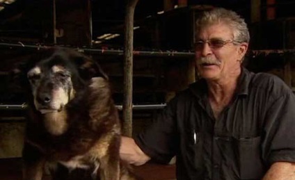 Câine australian, considerat cel mai vechi de pe planetă, a murit, știri din lume