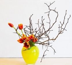 Ikebana lecții cum să răstoarne iarnă