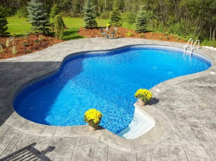 Alegerea unei piscine pentru o casă de țară și o vilă, portalul