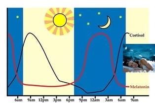 Producția de melatonină în corpul uman unde, când și din ce