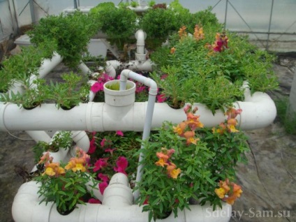 Cultivarea plantelor pe paturi de țevi din plastic, fă-o singur