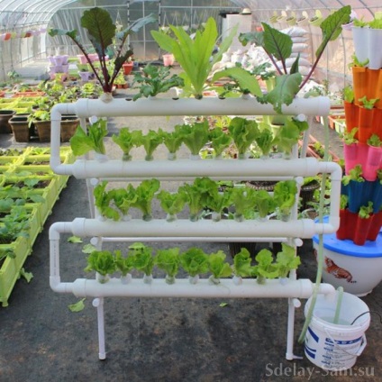Plante cultivate pe paturi din țevi din plastic - grădină, grădină - țara mamei