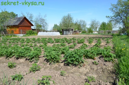 Вихідні в селі, відпочинок на природі