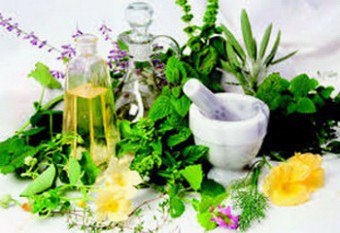 Restaurarea remediilor folclorice de ficat cu ajutorul suplimentelor și nastelor de plante medicinale