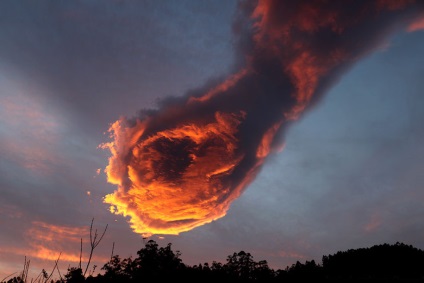 Találkozók felhők, aki úgy viselkedett, mint racionális lény - rejtélyek a föld bolygó - Hírek