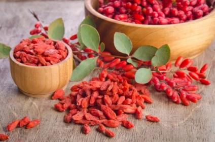 Goji fructe de padure (chineză deregus) proprietăți medicinale de crin obișnuit, ceai din fructe de padure, fructe de lycium