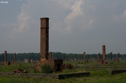 Я в Освенцімі