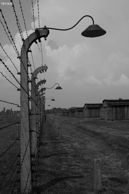 Sunt în Auschwitz
