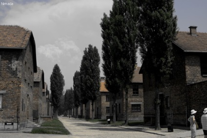 Sunt în Auschwitz