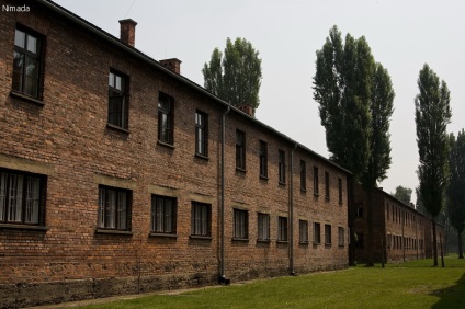 Sunt în Auschwitz