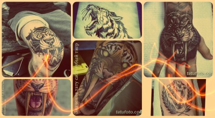 Înțeles tattoo saber-toothed tiger meaning, story, photo, sketches