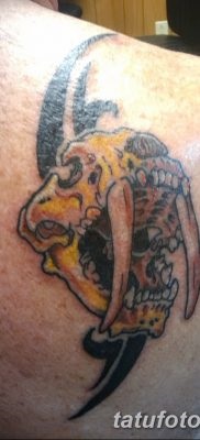 Înțeles tattoo saber-toothed tiger meaning, history, photo, sketches