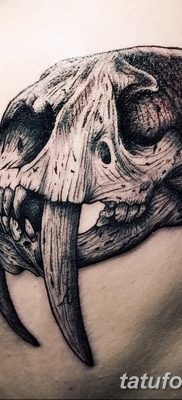 Înțeles tattoo saber-toothed tiger meaning, story, photo, sketches