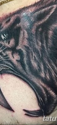 Înțeles tattoo saber-toothed tiger meaning, story, photo, sketches