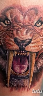 Înțeles tattoo saber-toothed tiger meaning, history, photo, sketches