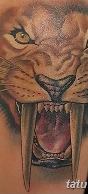 Înțeles tattoo saber-toothed tiger meaning, history, photo, sketches