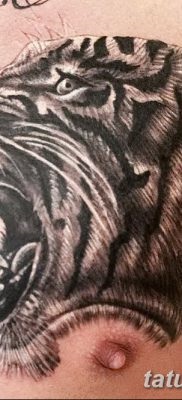 Înțeles tattoo saber-toothed tiger meaning, story, photo, sketches