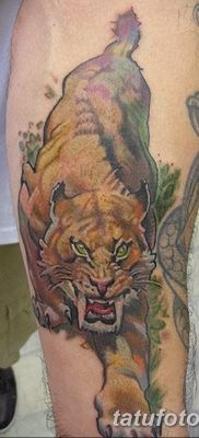 Înțeles tattoo saber-toothed tiger meaning, story, photo, sketches