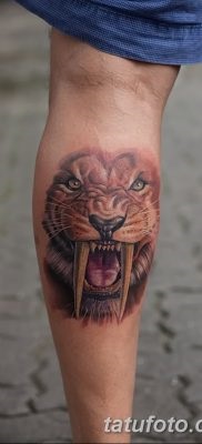 Înțeles tattoo saber-toothed tiger meaning, history, photo, sketches