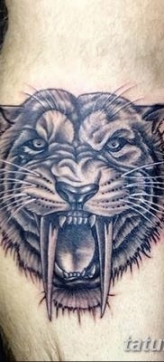 Înțeles tattoo saber-toothed tiger meaning, history, photo, sketches