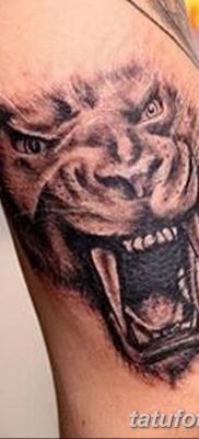 Înțeles tattoo saber-toothed tiger meaning, history, photo, sketches