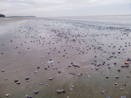 12 legszokatlanabb strandok a világon fotó, leírás