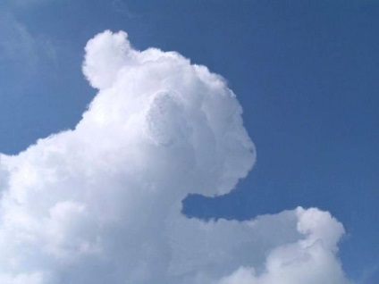 15. Szokatlan felhők, hasonló az állatokhoz, és nem csak