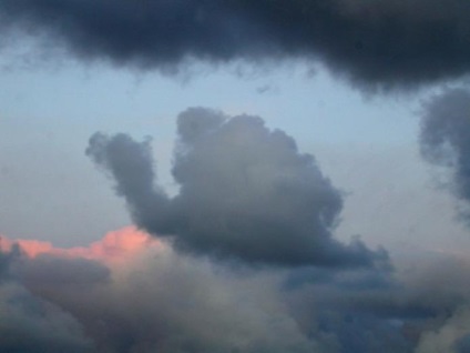 15. Szokatlan felhők, hasonló az állatokhoz, és nem csak