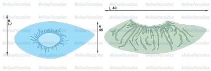 Coperți de pantofi de densitate 42