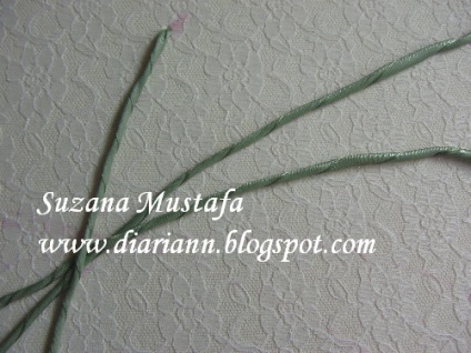 Fehér csipkebogyó és élénk rózsák, hímzett szalagok mikron suzana Mustafa