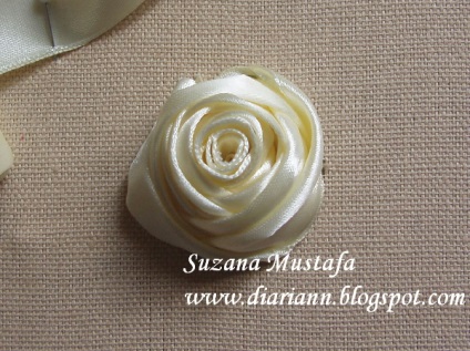 Fehér csipkebogyó és élénk rózsák, hímzett szalagok mikron suzana Mustafa