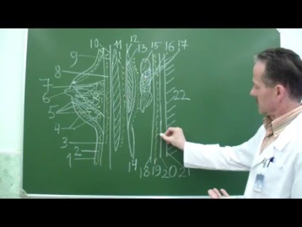 Corectarea defectelor și a caracteristicilor tratamentului