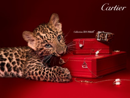 Cartier rafinat de lux, magazin de bijuterii de aur