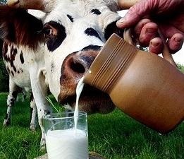 Mai degrabă lapte util pentru copii și adulți