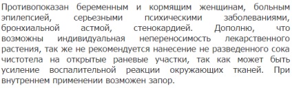 Чистотіл корисні властивості і протипоказання