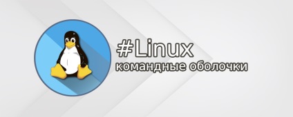 Mi linux kagyló rövid vizsgálata bash