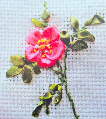 Flori de trandafir șold cu descrierea panglicilor de lucru și de schemă