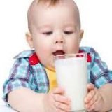 Este laptele de vacă foarte bun pentru copii - medicul tău aibolit