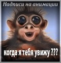 Adăugarea unei inscripții la o imagine animată (pentru începători), internet inteligent (setări de instrument Adăugarea unei inscripții la o imagine animată (pentru începători), la internet inteligent
