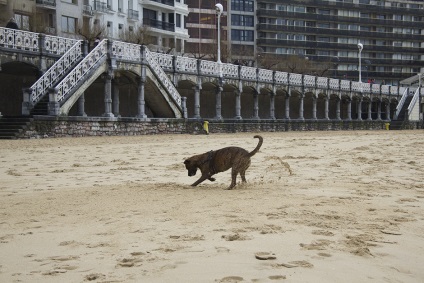 Două zile în San Sebastian - un ghid scurt către oraș