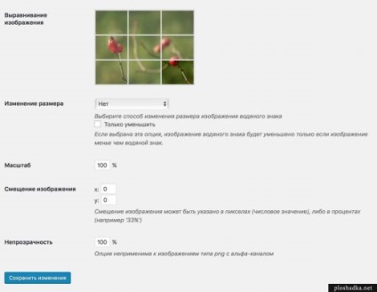 Filigran ușor - cel mai bun plugin pentru Wordpress