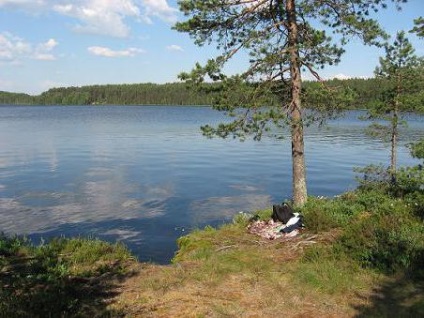 Fogunk pihenni a kék tavak a leningrádi régióban