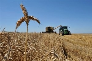 Economie în Ucraina doresc să crească impozitul pe agricultură